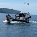 Extra picture for advert 146762
