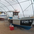 Extra picture for advert 146762