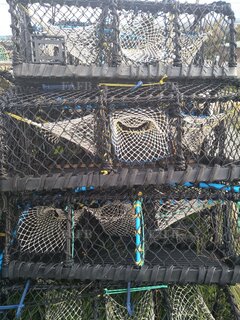 Brand new lobster pots for sale - ID:126765