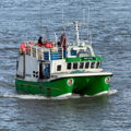 Extra picture for advert 148765