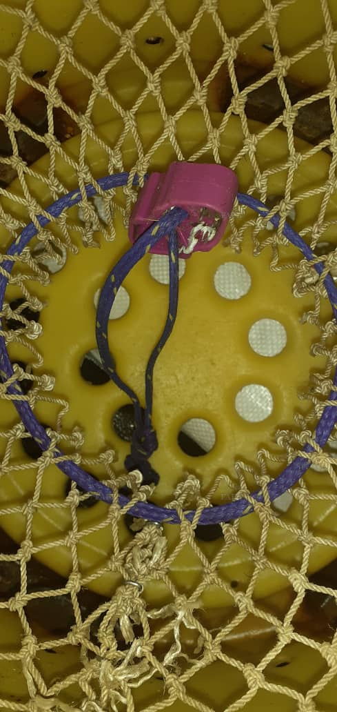 Large picture for advert 144767