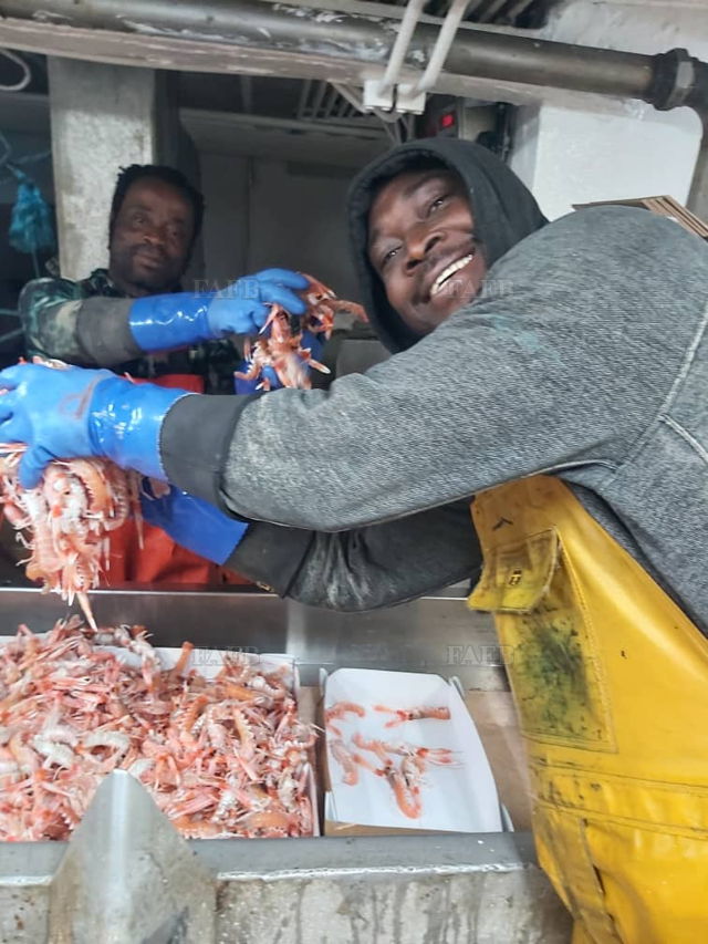 Large picture for advert 144769