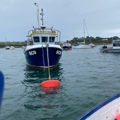 Extra picture for advert 148769