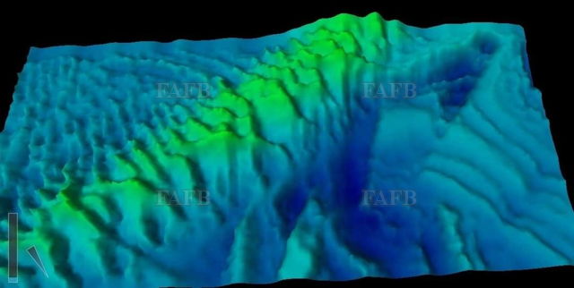 Large picture for advert 135770