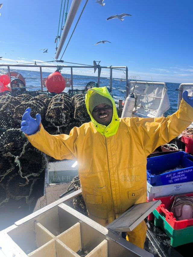 Large picture for advert 144771