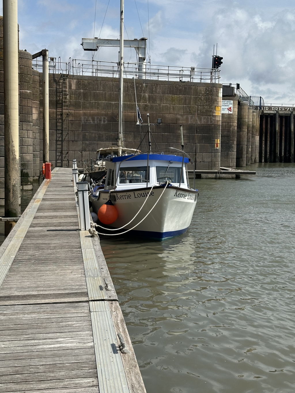 Tamar 2000