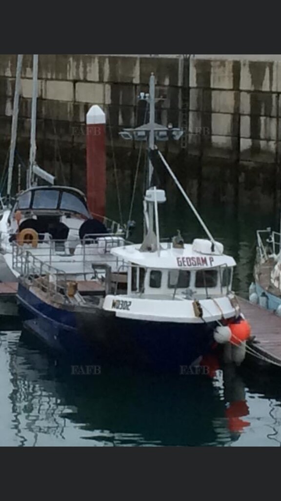 Cyfish 33