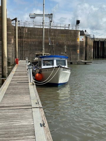 Tamar 2000