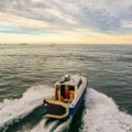Thumbnail for picture 3