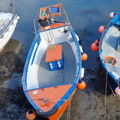 Extra picture for advert 148772