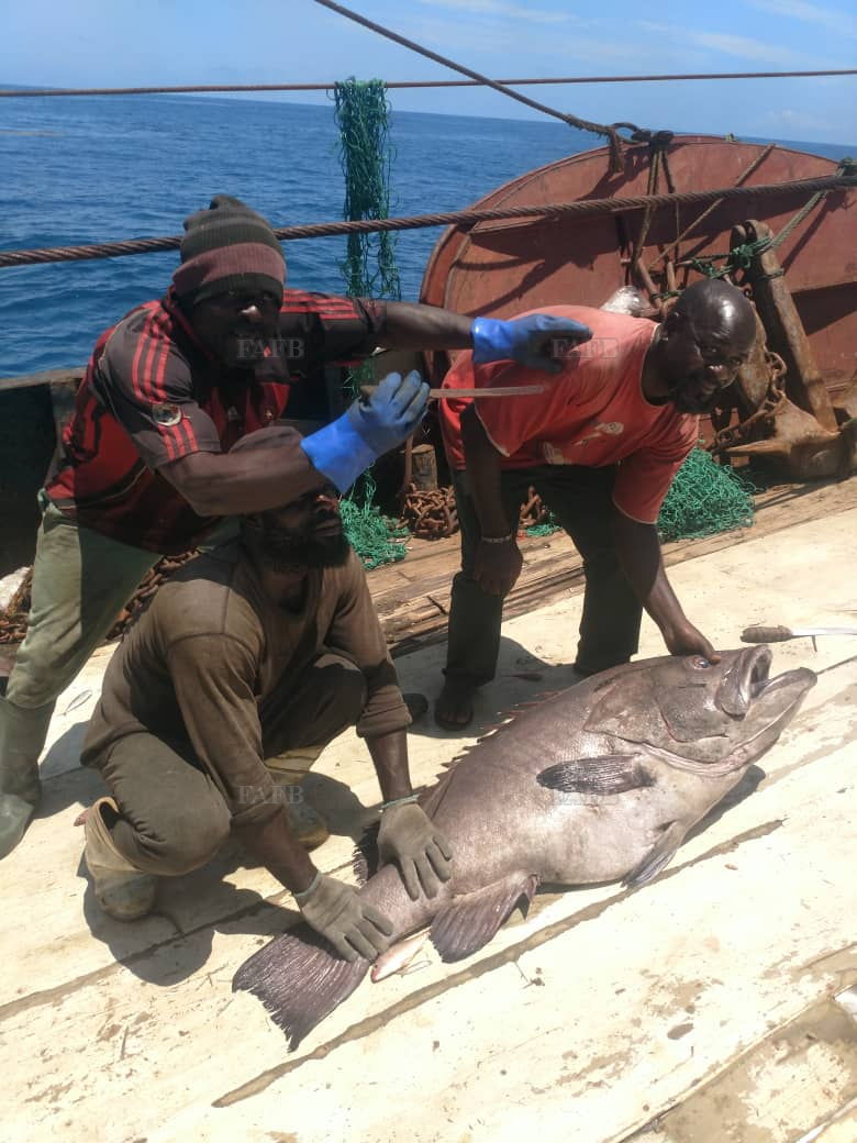 Large picture for advert 144773