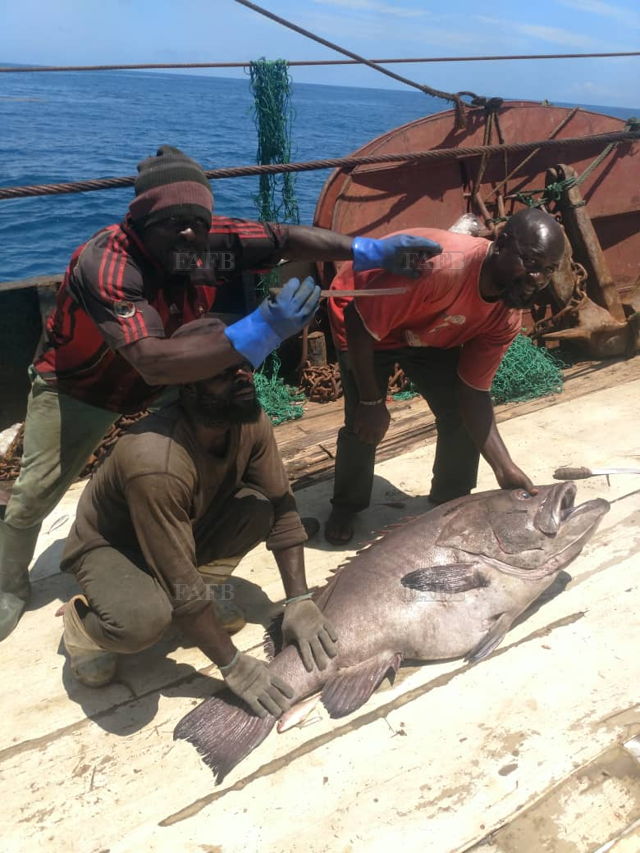 Large picture for advert 144773