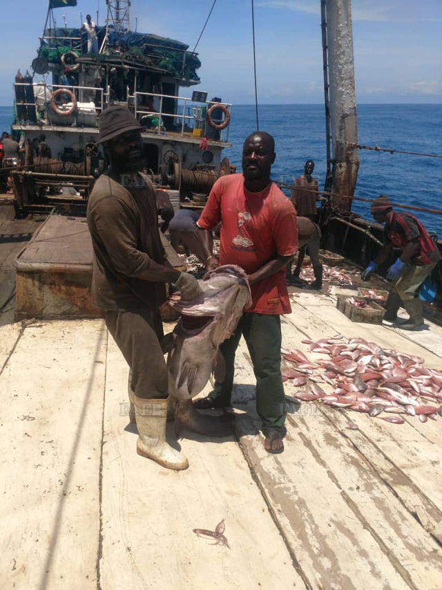 Large picture for advert 144773