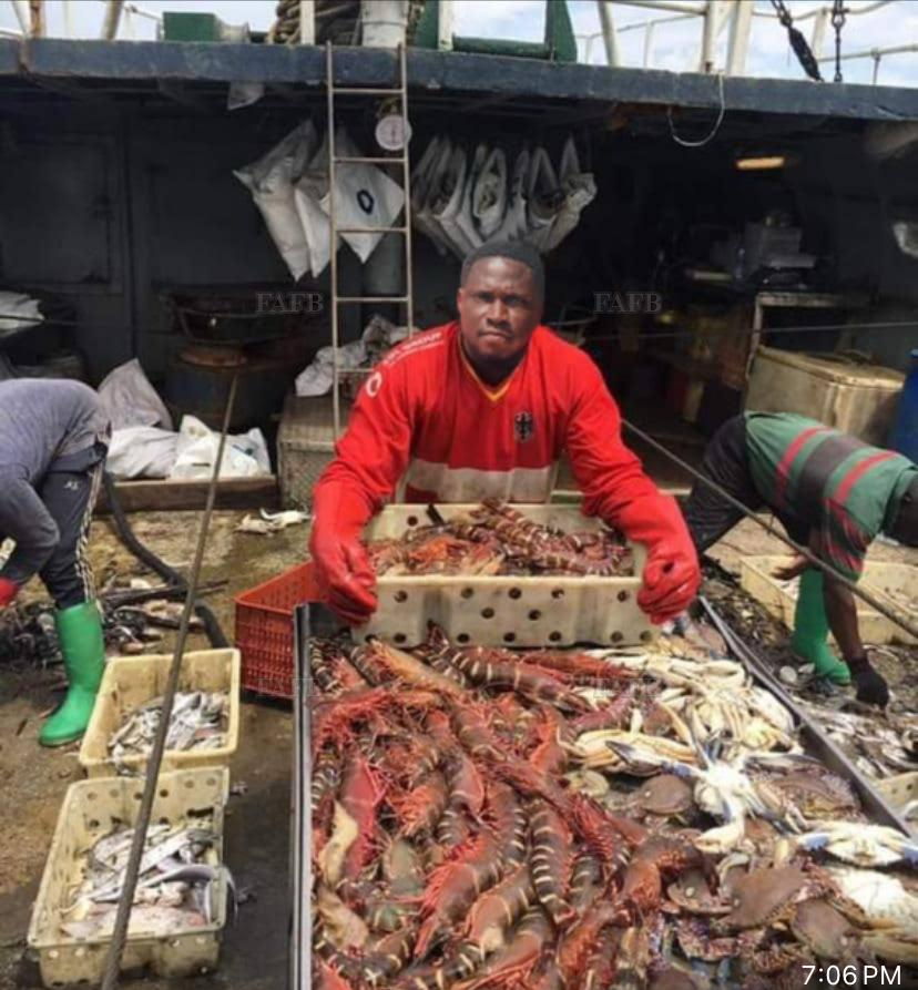 Large picture for advert 144774