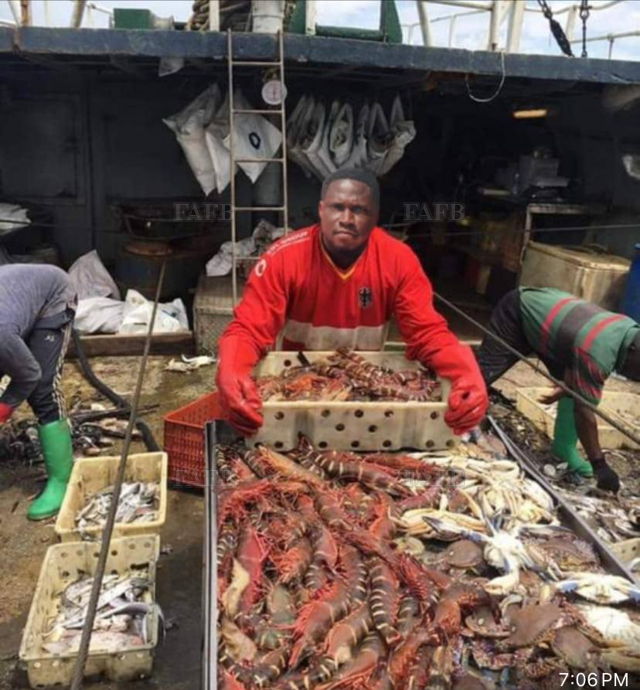 Large picture for advert 144774