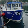 Extra picture for advert 142774