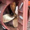 Extra picture for advert 142774
