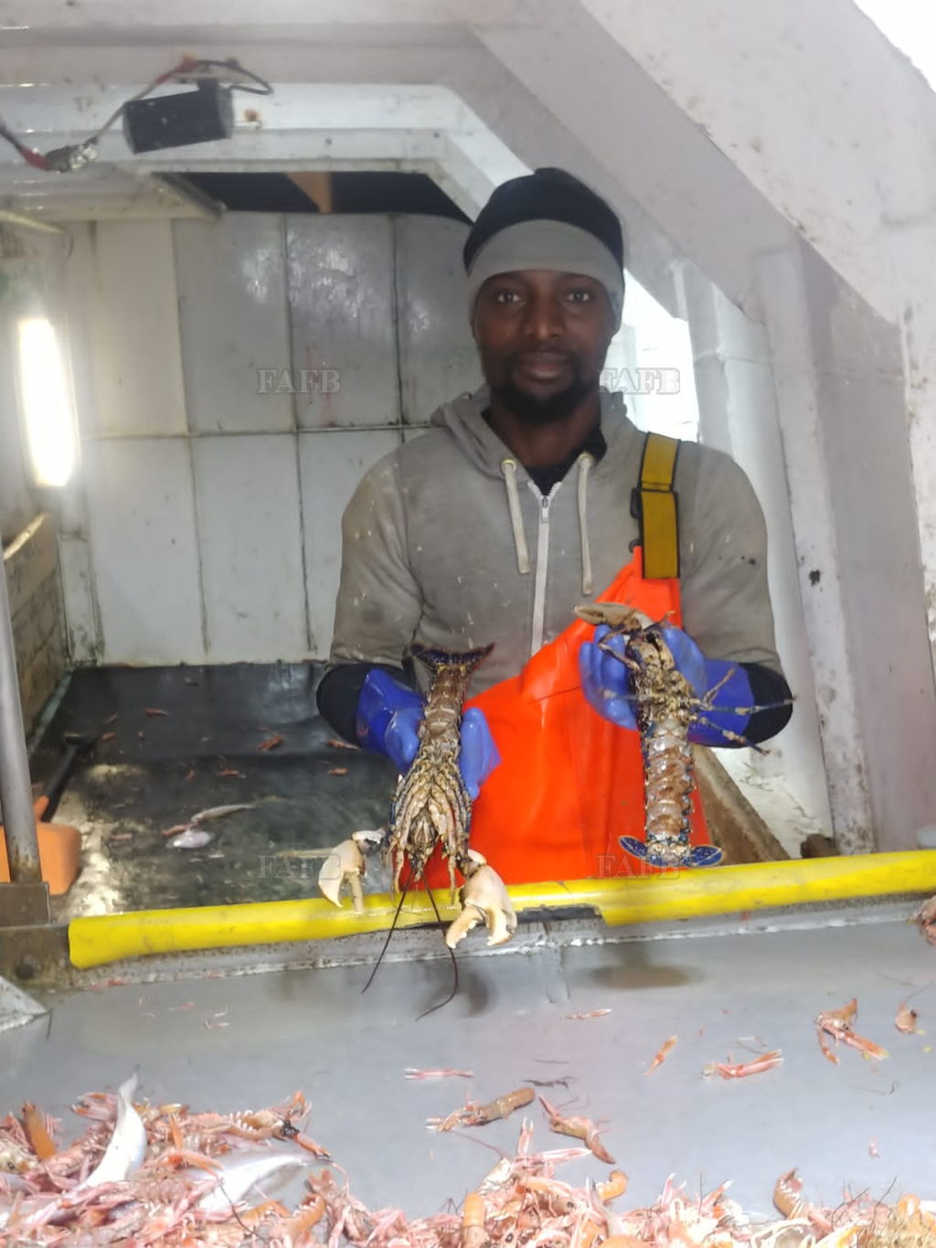 Large picture for advert 144776