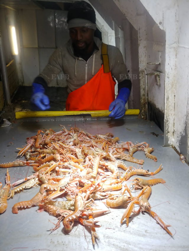 Large picture for advert 144776