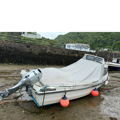 Thumbnail for picture 11
