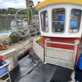 Thumbnail for picture 5