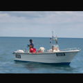 Thumbnail for picture 6