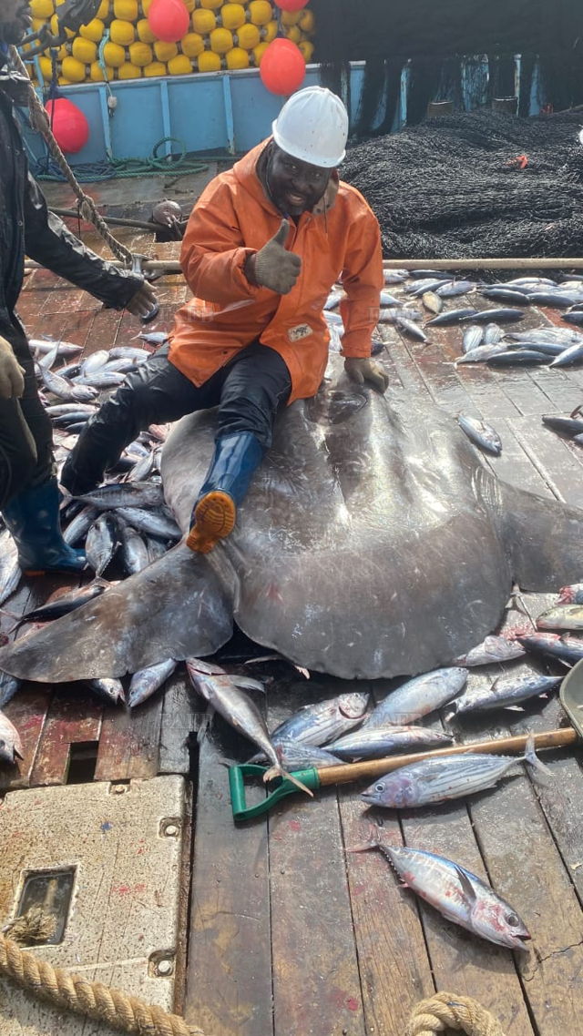 Large picture for advert 144779