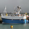 Custom build GRP fishing boats 10-15m - picture 6