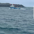 Thumbnail for picture 3