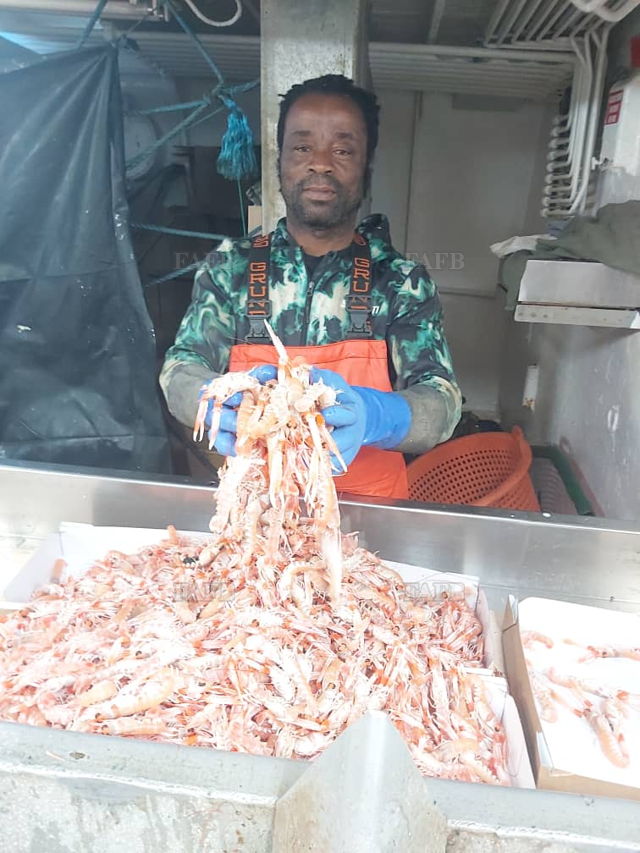 Large picture for advert 144783