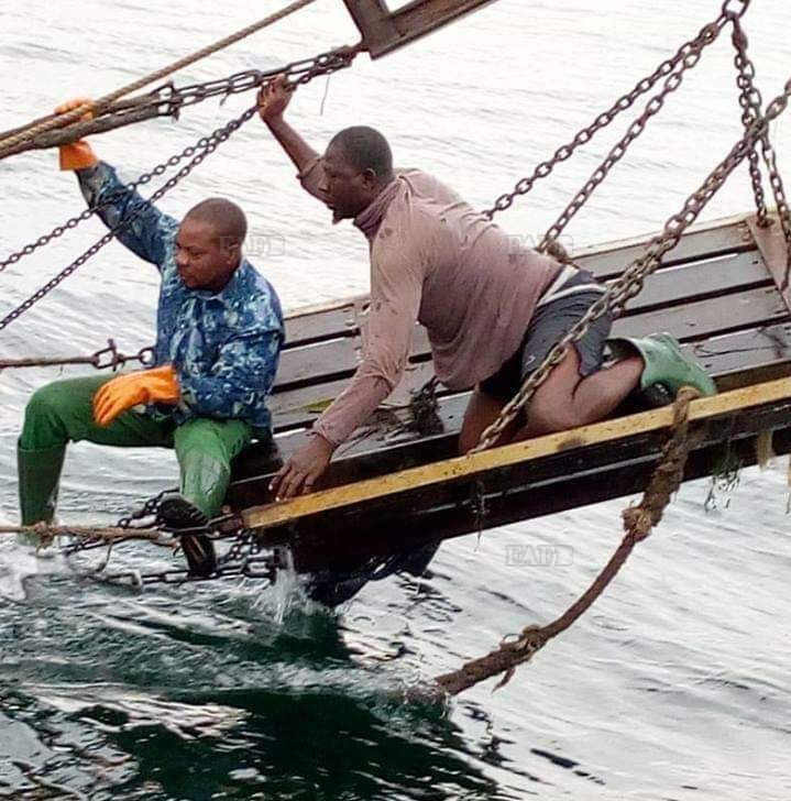 Large picture for advert 144784