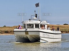 Blyth 33 - Blyth 33 - ID:130784