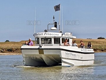 Blyth 33