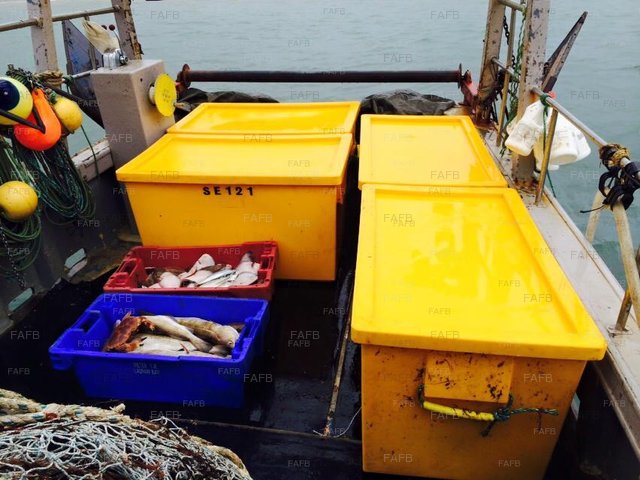 Large picture for advert 73785