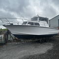 Extra picture for advert 147785