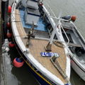 Thumbnail for picture 5