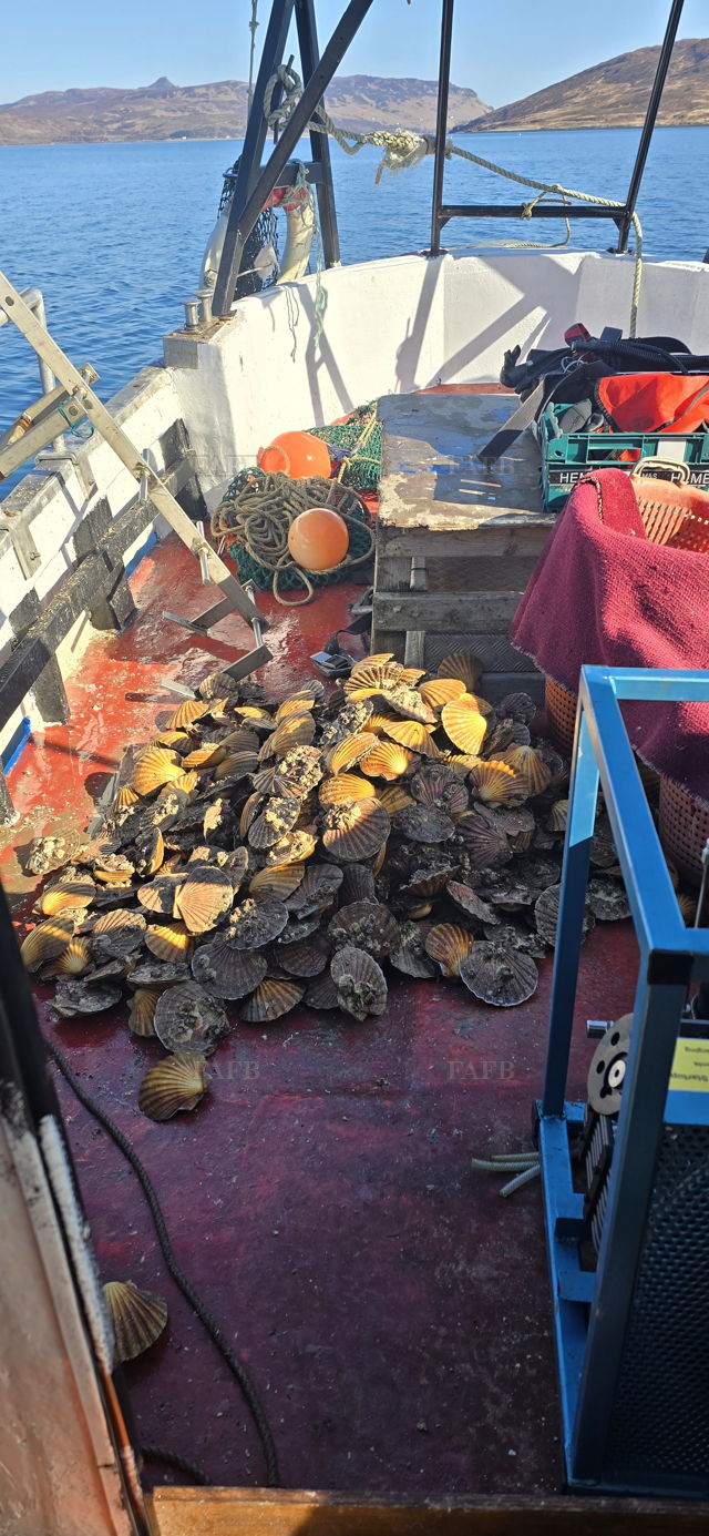 Large picture for advert 144787