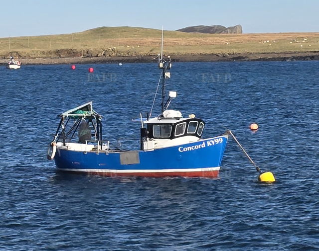 Large picture for advert 144787