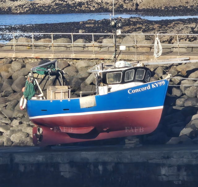 Large picture for advert 144787