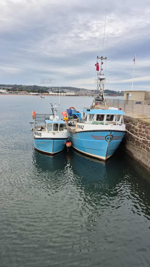 Large picture for advert 143788