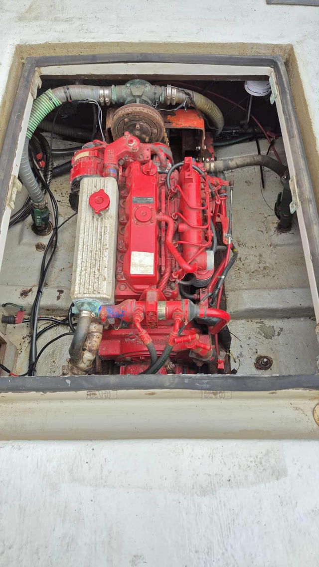 Large picture for advert 143788