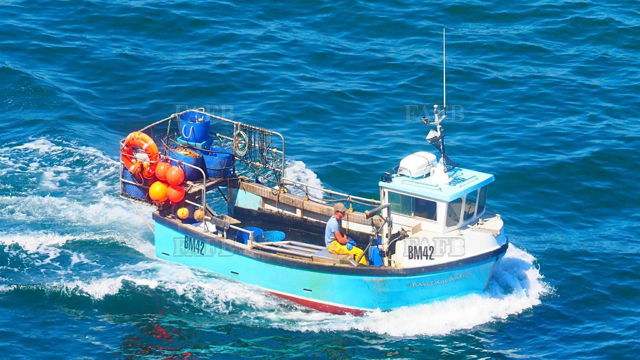 Large picture for advert 143788