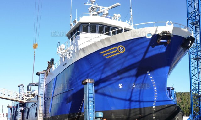 All Marine Surveys and valuations - picture 1