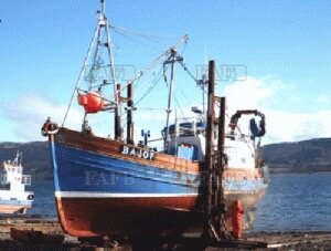 Large picture for advert 118788