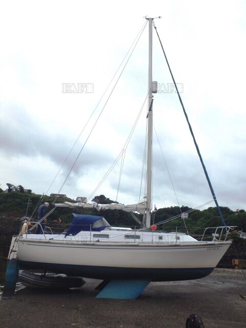 Large picture for advert 118788