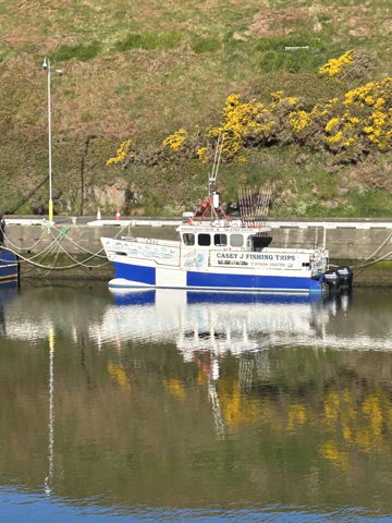 Main picture for advert 141789