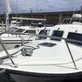Pro charter P3 - picture 10