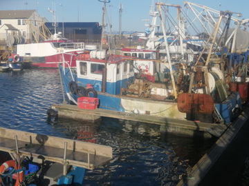 Main picture for advert 149079