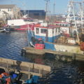 Extra picture for advert 149079