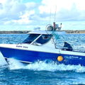 Extra picture for advert 148791